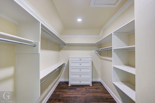 walk in closet featuring dark wood-type flooring