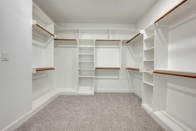 spacious closet featuring light carpet