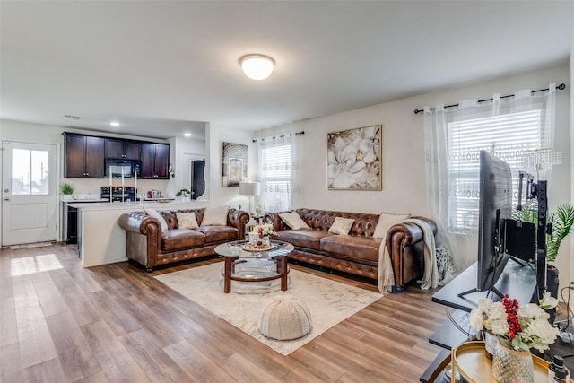 living room with light hardwood / wood-style floors and plenty of natural light