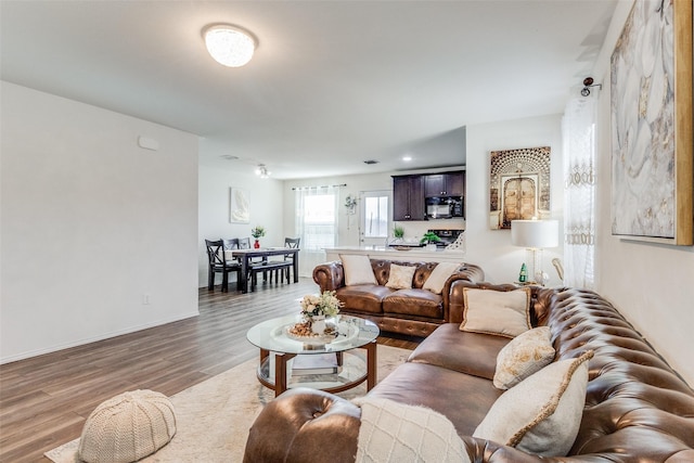 living room with hardwood / wood-style floors