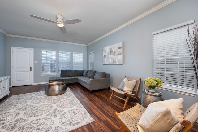 living room featuring ceiling fan, crown molding, and dark wood-type flooring