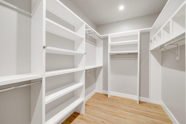 spacious closet with wood-type flooring