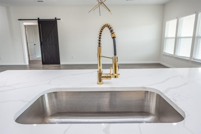 details featuring sink and a barn door