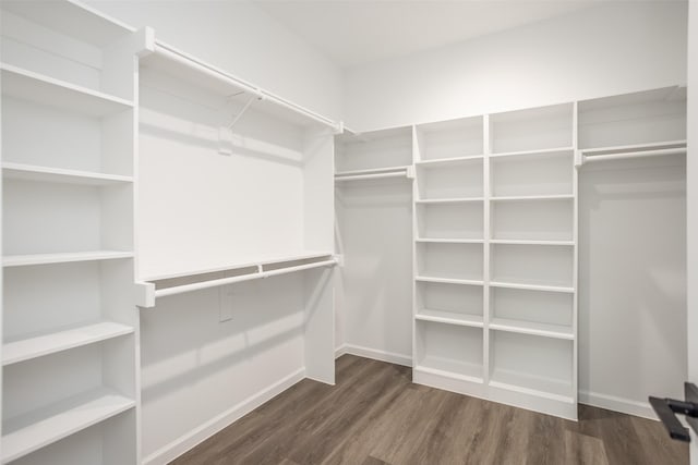 spacious closet with dark hardwood / wood-style floors