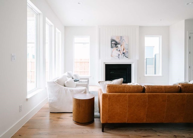 living room featuring light hardwood / wood-style floors