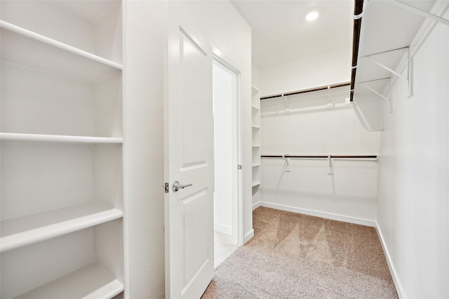 walk in closet with carpet