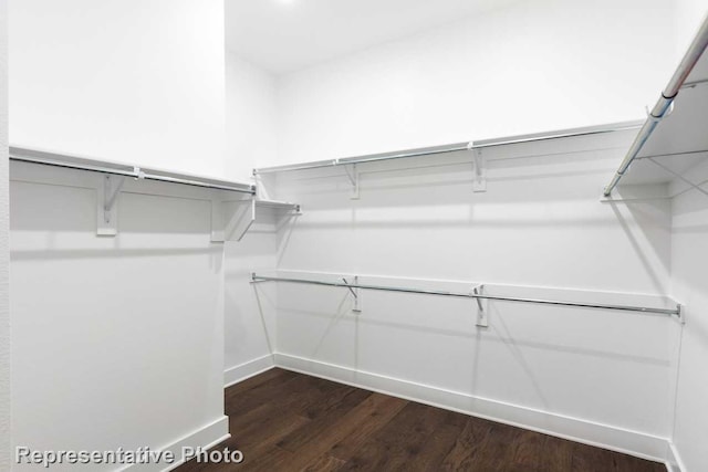 spacious closet with dark hardwood / wood-style floors