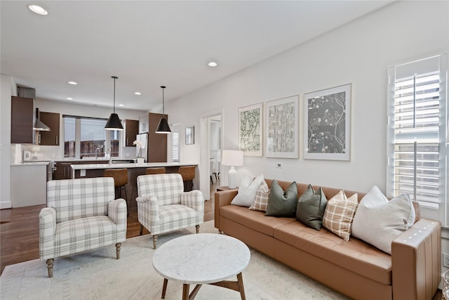 living room featuring a healthy amount of sunlight and light hardwood / wood-style flooring