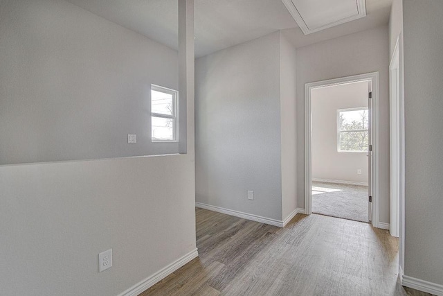 empty room featuring wood-type flooring