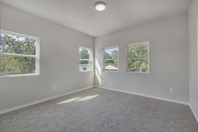 spare room featuring carpet floors