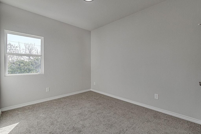 empty room featuring carpet floors