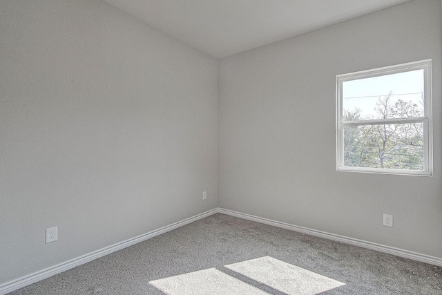 unfurnished room featuring carpet flooring