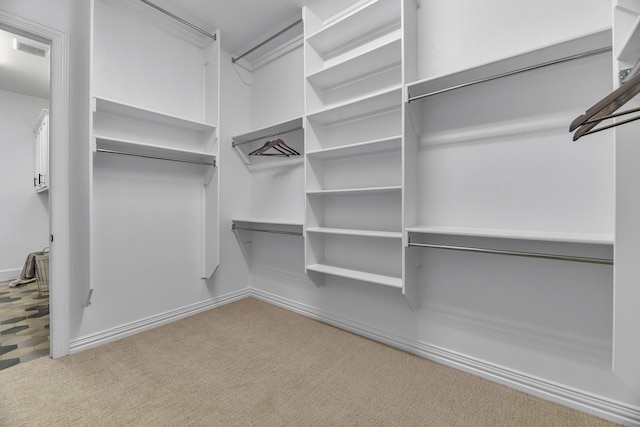 walk in closet featuring carpet flooring