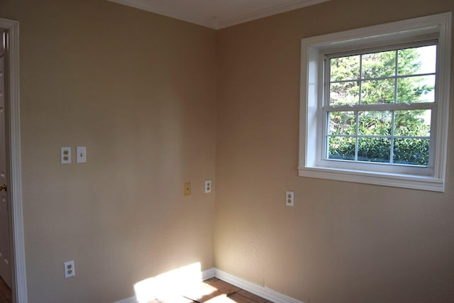 empty room featuring crown molding and a wealth of natural light