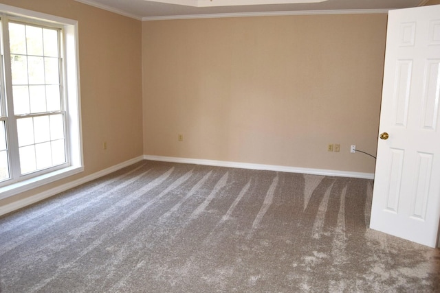 empty room with crown molding and carpet