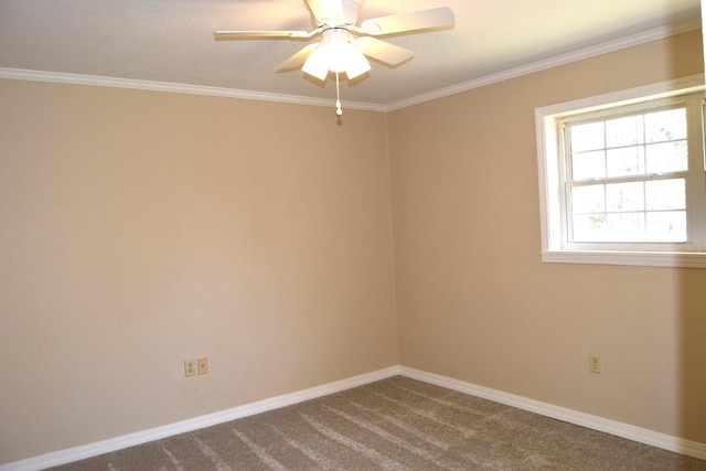 unfurnished room featuring ornamental molding, ceiling fan, and carpet