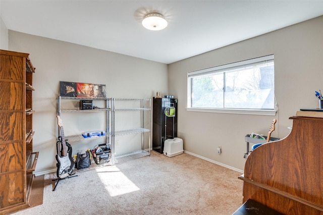 interior space with carpet