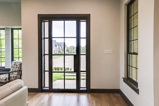 doorway to outside featuring light hardwood / wood-style floors and plenty of natural light