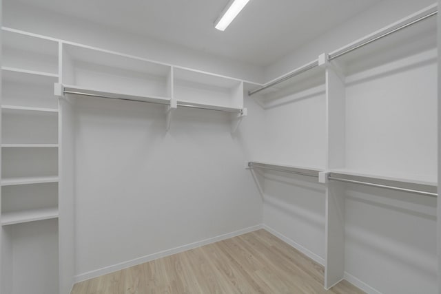 walk in closet featuring light hardwood / wood-style flooring