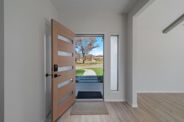 foyer featuring light wood-type flooring