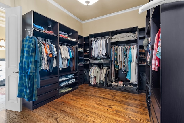 spacious closet with hardwood / wood-style floors