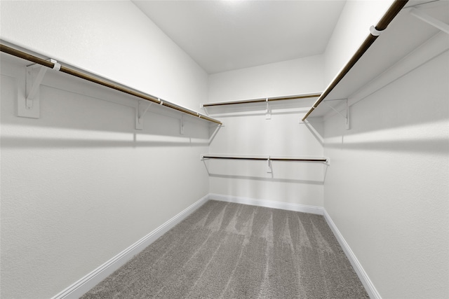 walk in closet featuring carpet