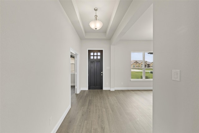 entryway featuring a raised ceiling, wood finished floors, and baseboards