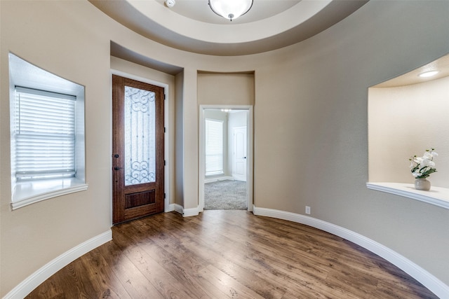 foyer with dark wood-type flooring