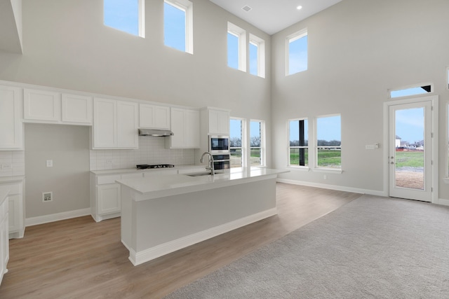 kitchen featuring white cabinets, backsplash, under cabinet range hood, and stainless steel appliances