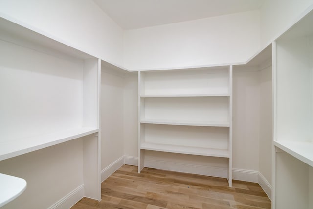 spacious closet featuring light hardwood / wood-style flooring