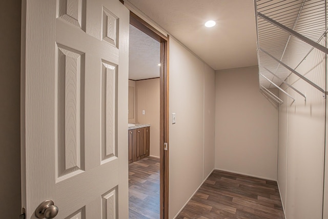 walk in closet with dark wood-type flooring