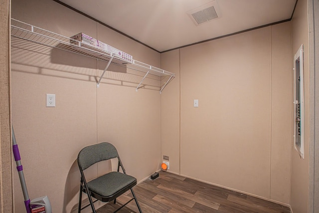 walk in closet featuring dark wood-type flooring