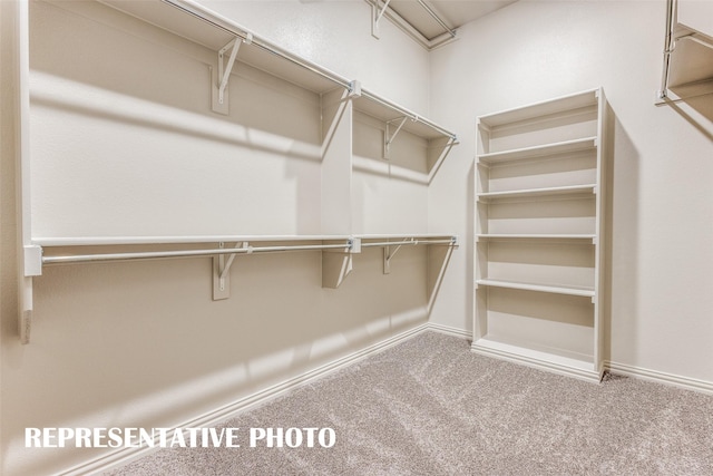 spacious closet with carpet