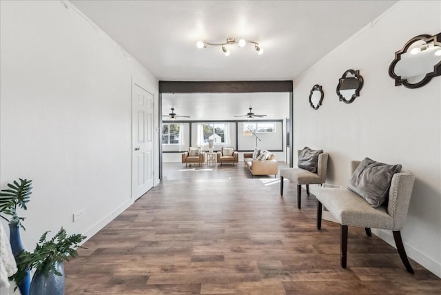 sitting room with dark hardwood / wood-style flooring and ceiling fan