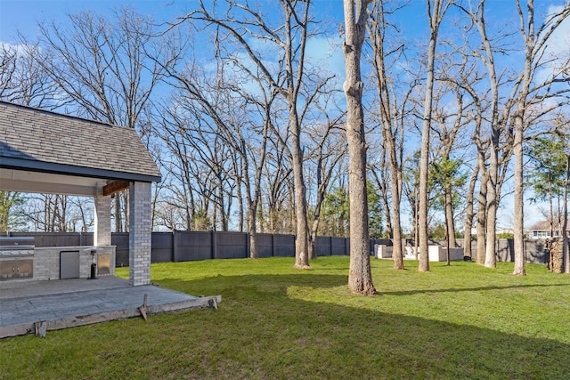 view of yard featuring a patio and area for grilling