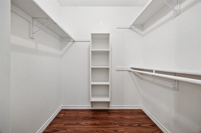 spacious closet featuring dark hardwood / wood-style flooring