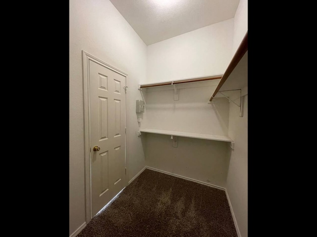 spacious closet featuring dark colored carpet