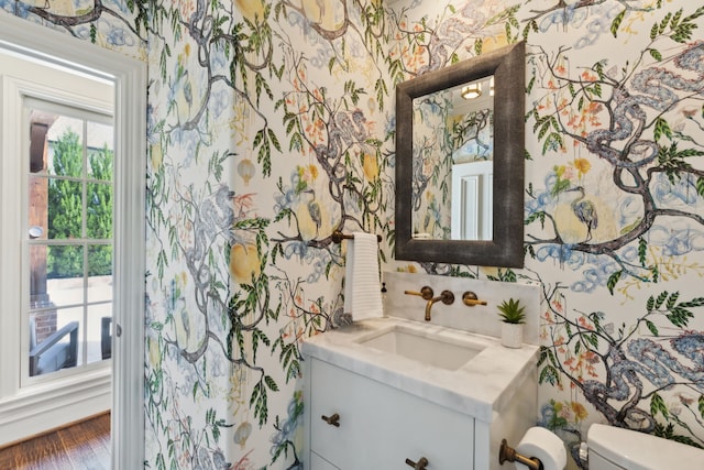 bathroom with wood-type flooring, vanity, and toilet