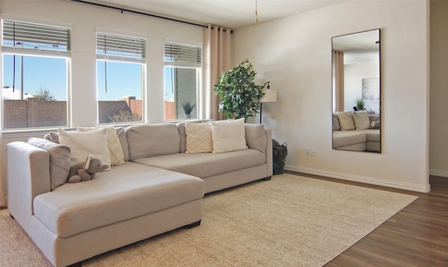 living room with hardwood / wood-style floors