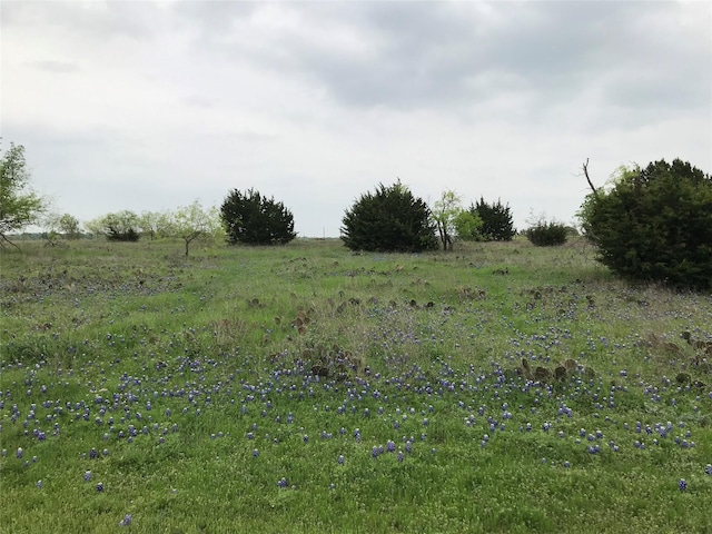 34020 Stonewood Dr, Whitney TX, 76692 land for sale