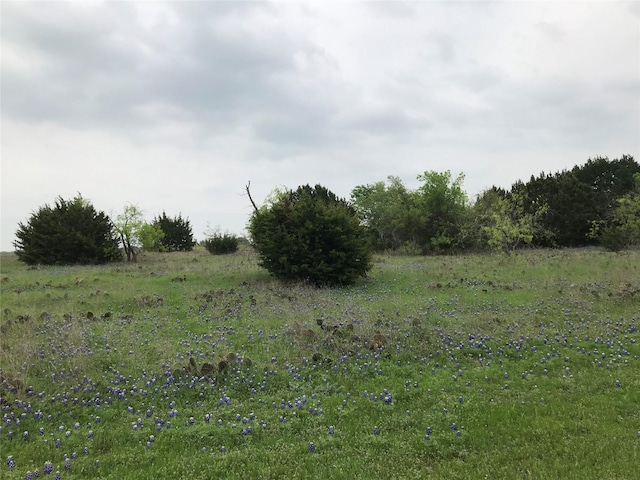 Listing photo 3 for 34020 Stonewood Dr, Whitney TX 76692