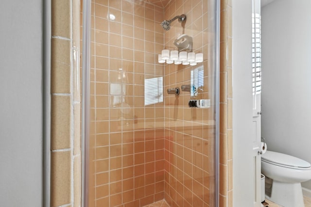 bathroom featuring a stall shower and toilet