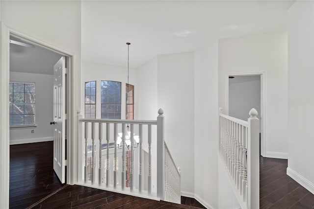 hallway with an inviting chandelier and dark wood-type flooring