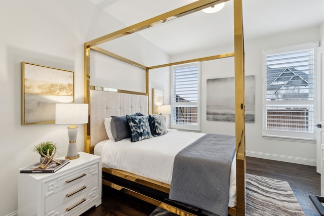 bedroom featuring multiple windows and dark hardwood / wood-style floors