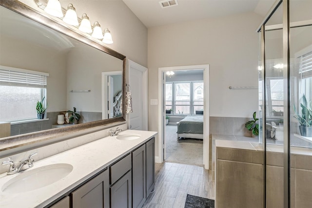 bathroom with vanity and wood-type flooring