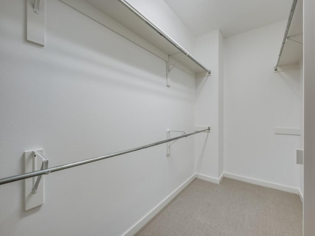 spacious closet with light colored carpet