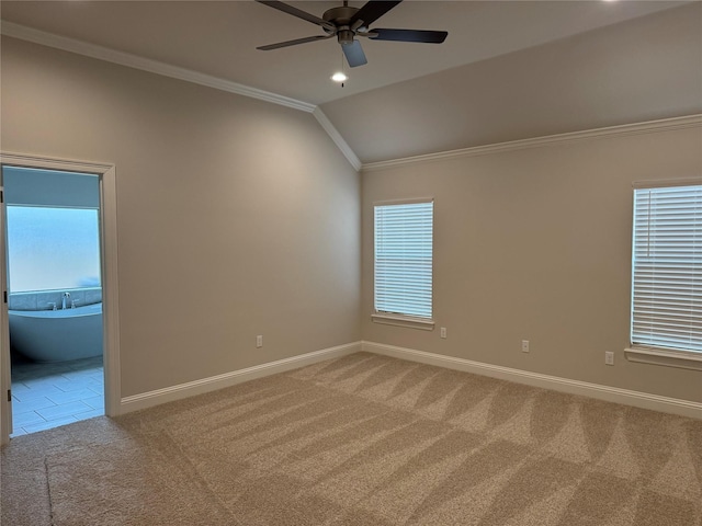 spare room featuring crown molding, ceiling fan, carpet floors, and vaulted ceiling