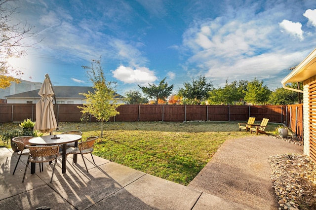 view of yard featuring a patio area