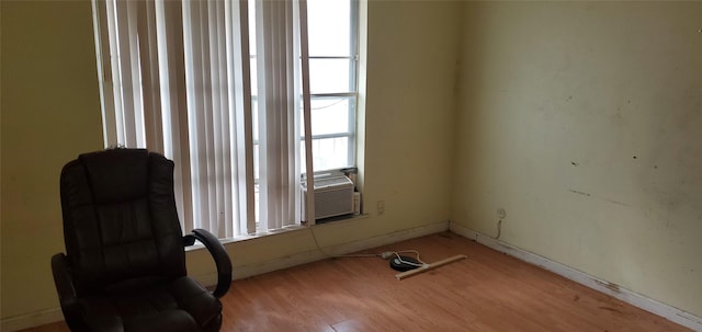 unfurnished room with light hardwood / wood-style floors and plenty of natural light