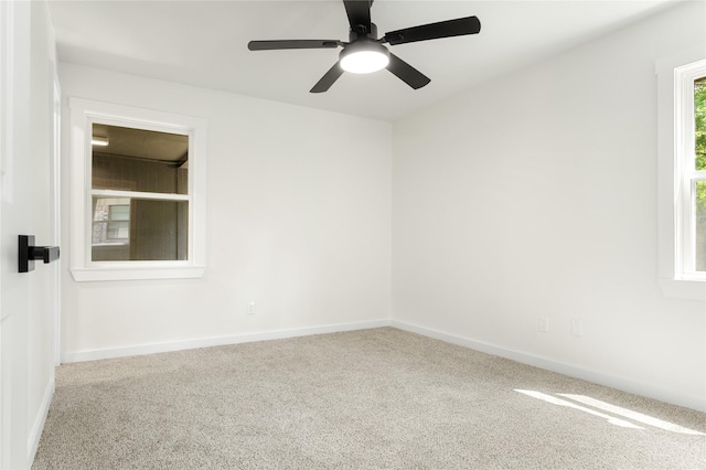 unfurnished room featuring ceiling fan and carpet floors